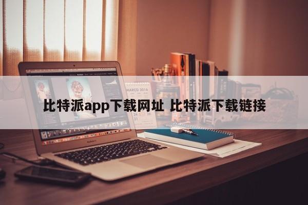 比特派app安卓下载__派派小说app下载