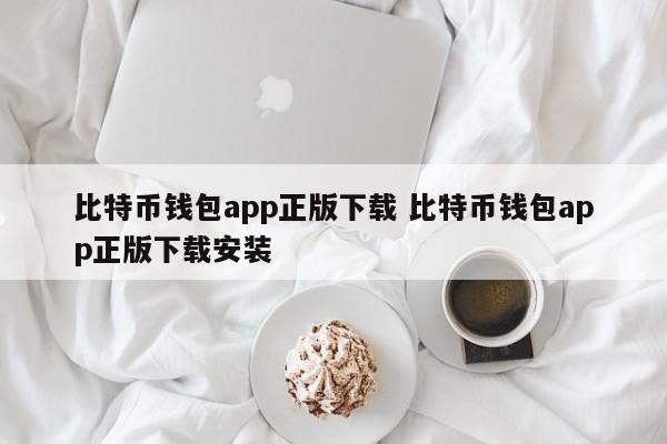 _中文版比特币钱包app_比特币的钱包下载