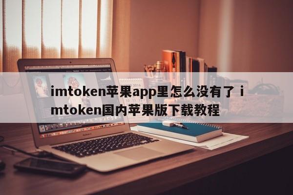 imtoken苹果app为什么没了？imtoken国内苹果版下载教程